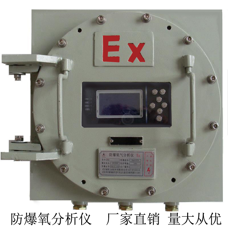 防爆氧分析仪