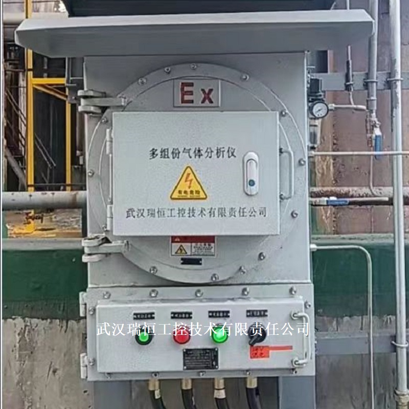 防爆氧分析仪