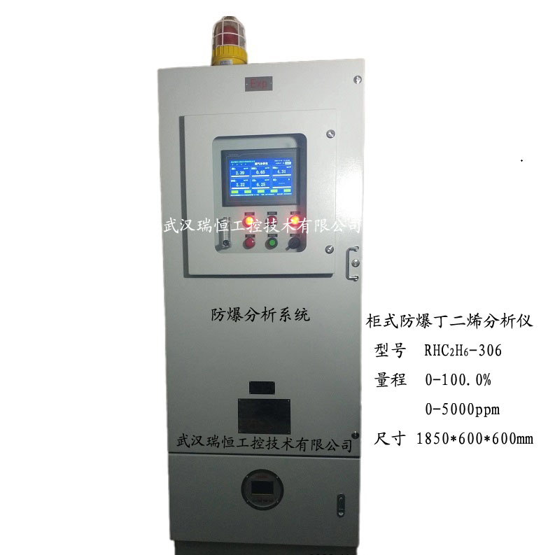 RHC2H6-306柜式防爆丁二烯分析仪
