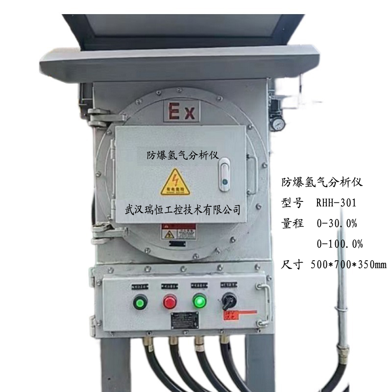 RHH-301壁挂防爆常量氢气分析仪
