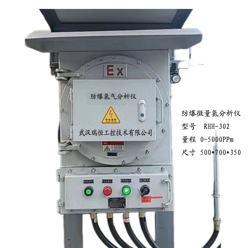 RHH-302壁挂防爆微量氢气分析仪