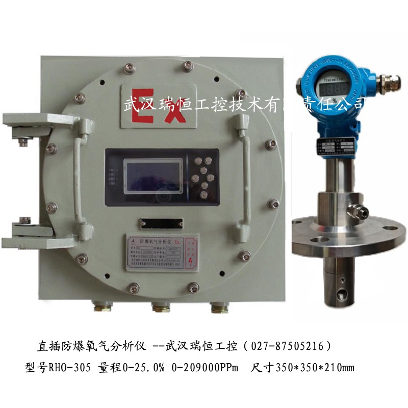 RHO-305直插防爆氧气分析仪