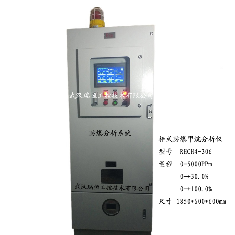 RHCH4-306柜式防爆甲烷分析仪