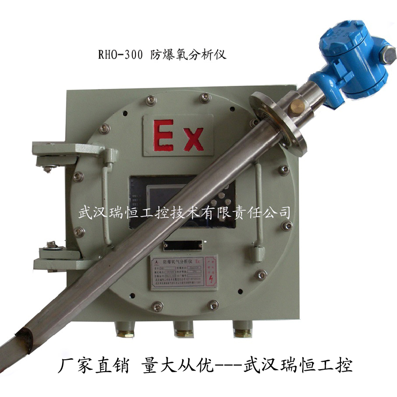   RHO-307直插防爆氧气分析仪